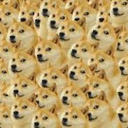 DOGE234