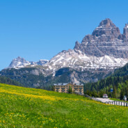 妖孽来条士力架