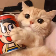 金陵在逃桂花鸭❀