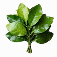 我一个大调查下去，把你避的税查出来