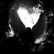 why1snt? - steam id 76561198788906630