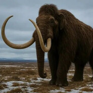 •°М@мо$т°•