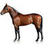 the low horse