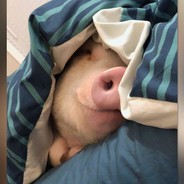 Koroke(๑>◡<๑)۶