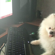 www.twitch.tv/snowydogtf2