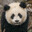 PANDA KILLER