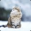 SnowCat