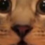 goattality