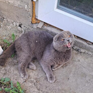 екотукей2021