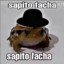 Sapito Facha