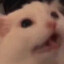 idontno