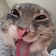 依旧鳄鱼嘎嘎666