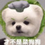 Bobi