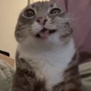 Саня Фермер