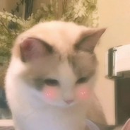 祝你今夜都好眠