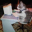 cat on pc