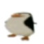 Tobe
