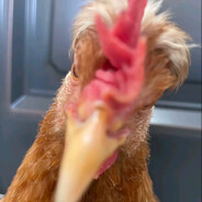 再选一次还会是我吗