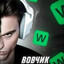Avatar of player вовчик