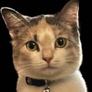 wamsy