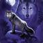 nightwolf