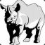Rhymenoceros