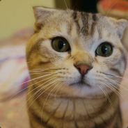 [NIghtMAre]*r.x 1382103