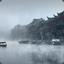 山雨欲来风满楼