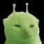 swas