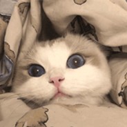 Big Avatar