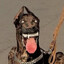Belinha