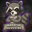 『 Mapache Silvestre 』