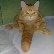 𝓛𝓾𝓿 𝓤𝟒𝓮𝓿