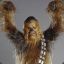 Chewbacca