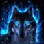 DarkWolf