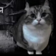 АнальныйТерорист