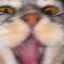 b3rkutZ