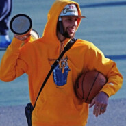 自古金毛多败犬