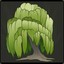 dangurous_tree