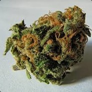 "LemoN HazE" <3 hellcase.com