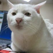-)sK(- Impolite - steam id 76561197961795896
