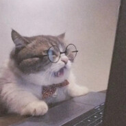 单摸警家至今未归