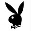 ʸᵒ ˢᵒʸ ᵗᵘ Pana Rabbit