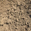 Sandy Loam