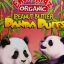 Panda Puffs