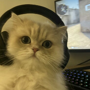 她说轮也不到我