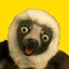 Zoboomafoo