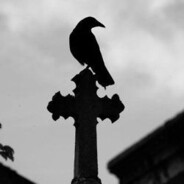 charlieofcrow