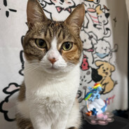 风诺奈奈洛