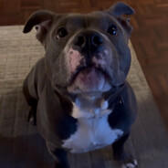 Boris